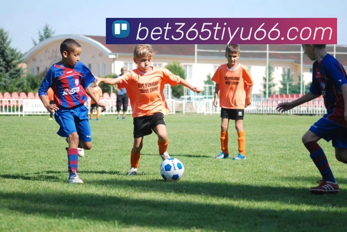 bet365体育服务体系