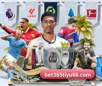bet365体育 APP
